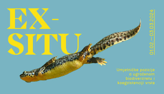 Изложба EX-SITU: Уметнички позиции за загрозениот биодиверзитет и соживот на видовите